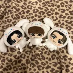 中島颯太 FANTASTICS ぬいぐるみ シナモン シナモロール ポチャッコ