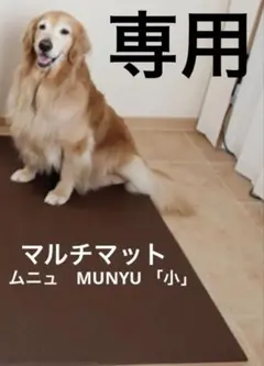 Item thumbnail for item 6aaad264-f4c5-4f09-a6b4-261b88dee9ce