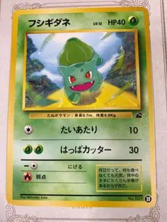 フシギダネ PROMO DPt-Pプロモカード 030/051 ポケモンセンター - メルカリ