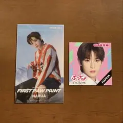 &TEAM HARUA ハルア　観覧車搭乗券 トレカ　ぷっちょステッカー