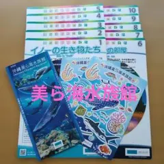 Item thumbnail for item 07070dc7-d4ab-4815-9fe3-11a81d4c1e49