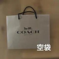 Item thumbnail for item d985d8f7-0d39-4b41-8db8-45cc0b560630