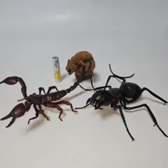 いきもの大図鑑　サソリ　クロオオアリ　アルマジロトカゲ