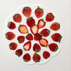 ひろみん様 リクエスト 2点 まとめ商品