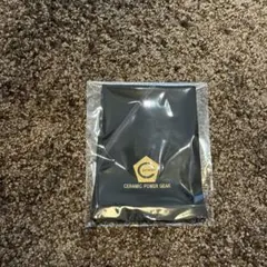 Item thumbnail for item 83fbeb93-2c26-4532-8e0c-ed58ff6aea27