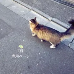 T様専用ページ 10cmぬい服