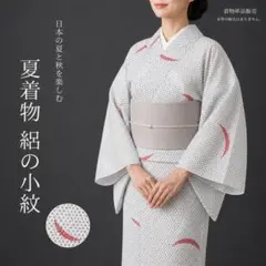 S157》夏着物 小紋 グレー 絽 単品 対象身長～161cm 送料無料 - メルカリ
