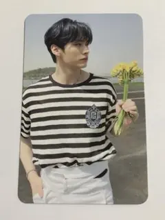 Straykids maxident US b&n トレカ リノ