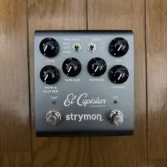 strymon El Capistan エルキャピスタンのサムネイル