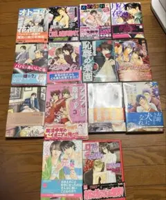 ボーイズラブ漫画 コレクション BL漫画 まとめ売り 14冊セット
