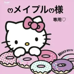 ෆメイプルෆ様専用♡デコパーツ おまとめ 猫 ミニチュア ハンドメイド