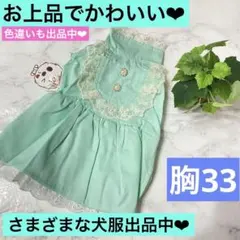 犬服 ブラウス グリーン ミント レース フリル ワンピース かわいい おしゃれ