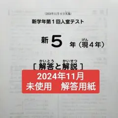 サピックス新4年新学年入室・組分けテスト　2025年　原本❗️ mqdefault.jpg