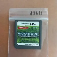 サバイバルキッズ Lost in Blue 2