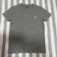 アバクロ　Tシャツ　限定　レア
