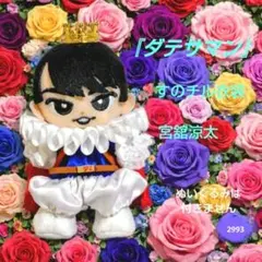 Snow Man『ダテサマン』風 すのチルチルぬい衣装　宮舘涼太