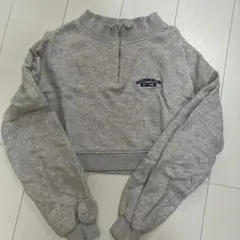 WEGO ハーフジップ スウェット