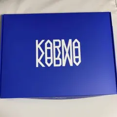 straykids スキズ アルバム KARMA ceremony 開封済