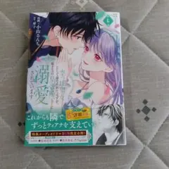 空っぽ聖女として捨てられたはずが、嫁ぎ先の皇帝陛下に溺愛されています 6のサムネイル