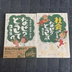 科学のふしぎなぜ？どうして？ 社会のふしぎなぜ？どうして？ 3年生