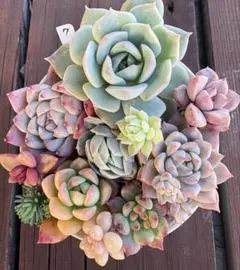 sora24様 リクエスト 2点 まとめ商品