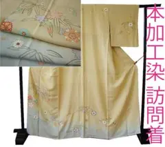 値下げ交渉OK！夏物 裄長め 駒絽 訪問着 正絹 F210 - メルカリ
