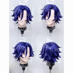 2026年最新】一ノ瀬トキヤ ウィッグの人気アイテム - メルカリ