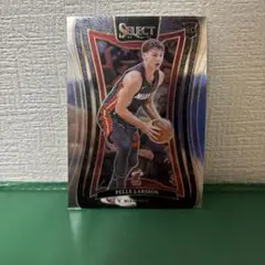 PELLE LARSSON RC MIAMI HEAT No. 400
