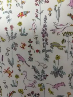 リバティピカデリーポプリンはぎれセオ