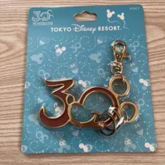 東京ディズニーリゾート 30周年 キーホルダー カラビナ ミッキー 未使用