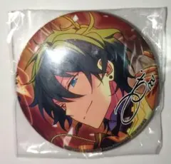 あんスタ アルバム 缶バッジ みか