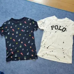 ポロ　POLOデザイン Tシャツ 130cm