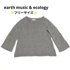 earth music & ecology ラメ混長袖ニットセーターグレー（F）