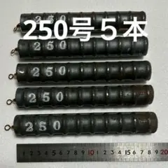 ふっちゃん様専用250号3本セット