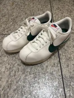 コルテッツ　２６センチ