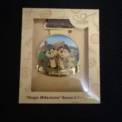 香港ディズニー マジックアクセス メダル チップとデール グリズリーガルチ マジックアクセス チップ&デール 香港ディズニーメダル グリズリー