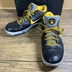 （K25797）ナイキ コービー4 プロトロ 