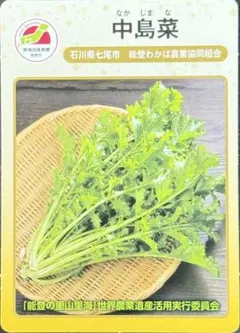 みくわし様 リクエスト 2点 まとめ商品