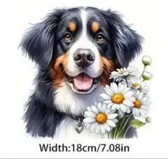 Item thumbnail for item 355122d0-0b07-4dfd-8ca1-aa33142178fe