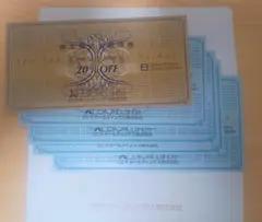 ゼビオホールディングス 株主優待券 (20%オフ1枚 10%オフ4枚)