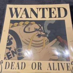 ONE PIECE BASE SHOP ALL PAGES ロビン サウロ - メルカリ