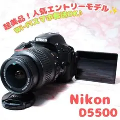 カメラバッグ付き】Nikon D5500 手ぶれ補正レンズ 一眼レフカメラ美品