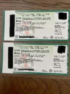 まーくん様専用!!ハンターマウンテン塩原 リフト1日券 子供2枚