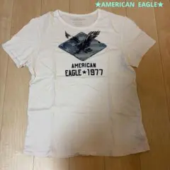 AMERICAN EAGLE ★メンズTシャツ　L