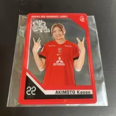 Item thumbnail for item d44865dd-fa74-46b3-9a27-c7be1a1ea970