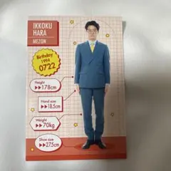 よしもとコレカ 5th 【身体測定カード】 めぞん 原一刻 - メルカリ