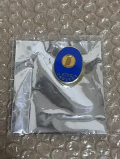 2026年最新】冨岡義勇 柱展 ピンズの人気アイテム - メルカリ