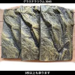 2026年最新】バックボード 爬虫類の人気アイテム - メルカリ