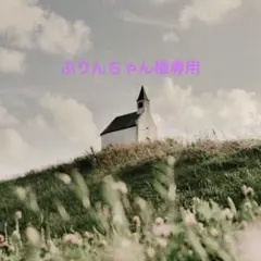 ぷりんちゃん 様専用