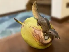 2026年最新】木彫り リスの人気アイテム - メルカリ